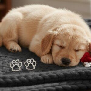 Paw Print Stud Earrings Stainless Steel Hypoallergenic 18K Gold Plated